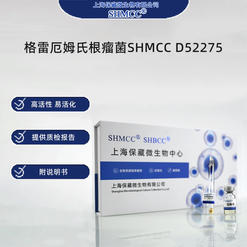 格雷厄姆氏根瘤菌SHMCC D52275 0代标准菌种冻干粉