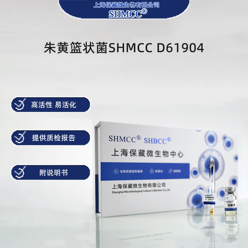 朱黄篮状菌SHMCC D61904 0代标准菌种冻干粉