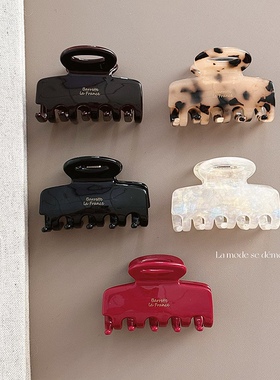 Chris 金标France金标复古方块镂空中号鲨鱼夹盘发抓女后脑勺发夹