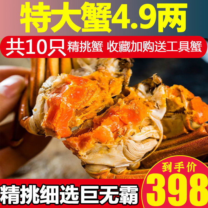 goods in stock 10 Large Crabs Crabs Fresh Live crabs Crab Gift box Seafood Aquatic products Yangchenghu townin the Aquatic meat/Fresh fruits and vegetables/Cooked , Seafood/Aquatic/Product , Crabs , Crabs  category - from Buy2taobao.com to provide professional Taobao agent buy service