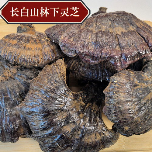长白山半野生灵芝\评分高\老客多