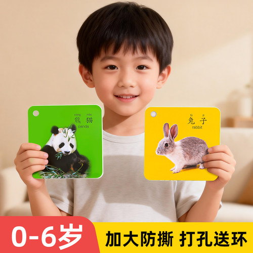 【加大防撕】0-6岁早教认知卡片