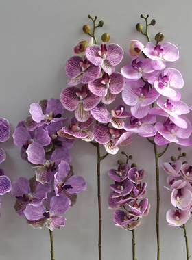 蝴蝶兰蕙兰仿真花家居插花摆件