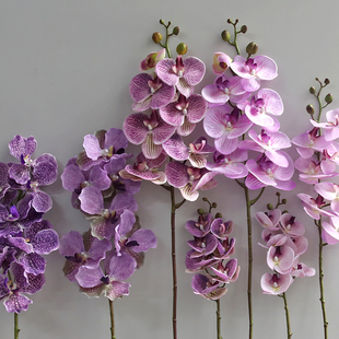 蝴蝶兰蕙兰万代兰仿真假花绢花摆件插花盆栽餐桌装饰家居摄影手捧