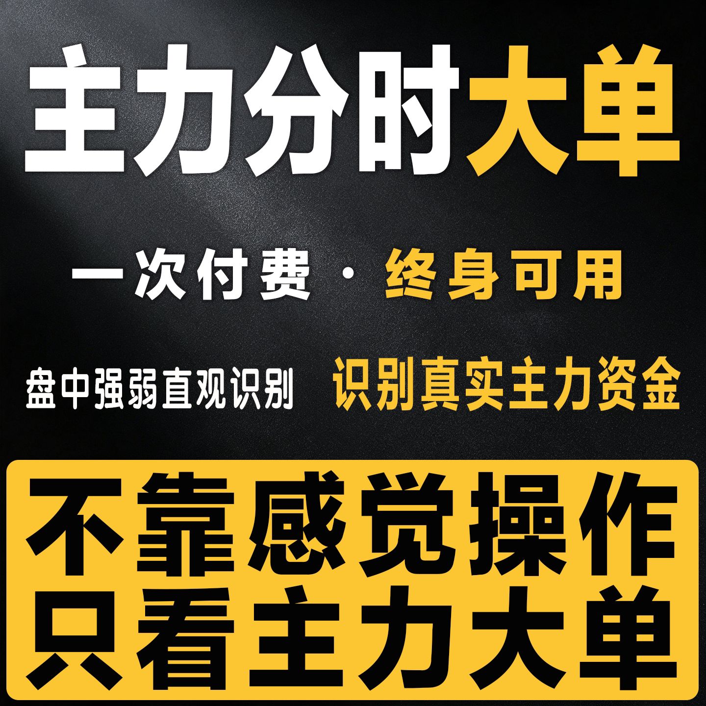 分时主力资金做T无未来函数通达刻录盘个性化服务