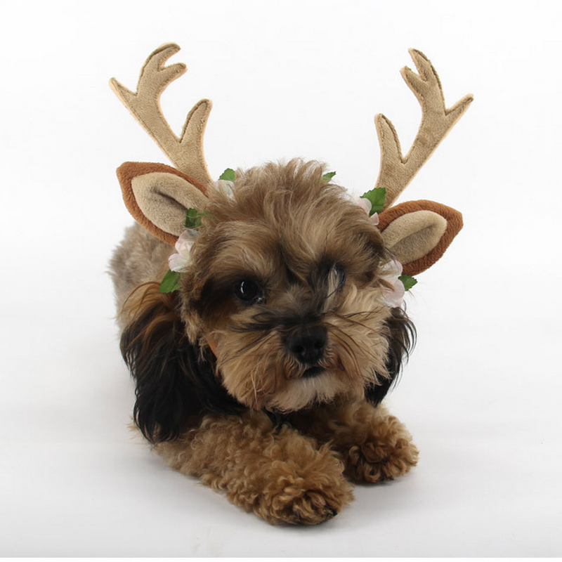 圣诞节cos可爱猫咪鹿角发箍宠物狗狗卡通装扮头饰仙鹿角头箍道具