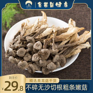 菌益 精选鹿茸菌菇云南土特产食用菌 煲汤菌类食材 鹿茸菇干货68g