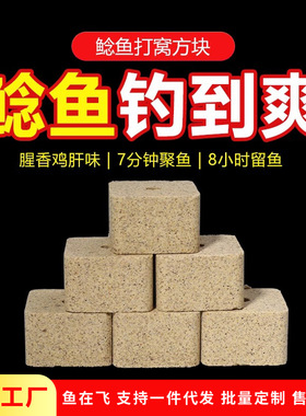鱼在飞鲶鱼专用饵料浓腥打窝料黑