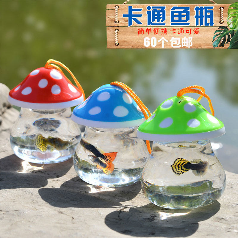 透气式qq鱼瓶qq龟瓶qq鱼缸乌龟瓶迷你鱼缸手提塑料小鱼缸特价