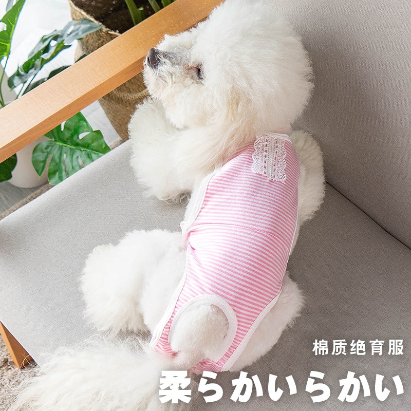 狗狗生理裤棉质护肚绝猫咪育服宠物狗狗月经裤母狗姨妈巾狗卫生裤