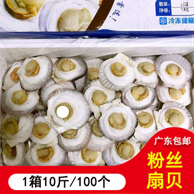 厂家直销特价蒜蓉粉丝蒸扇贝散装100粒冷冻新鲜海鲜 烧烤食材