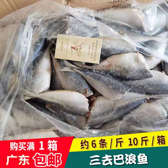巴浪鱼冷冻冰鱼新鲜海鱼去头去内脏冷冻水产快餐饭堂冻货广东包邮