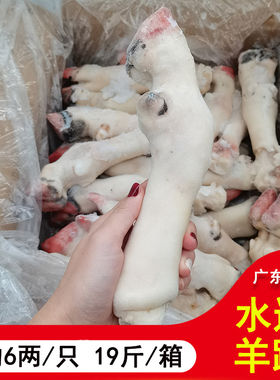 羊蹄子 羊脚 羊抓 生羊蹄 羊肉熟 清真新鲜冷冻羊肉 广东包邮19斤