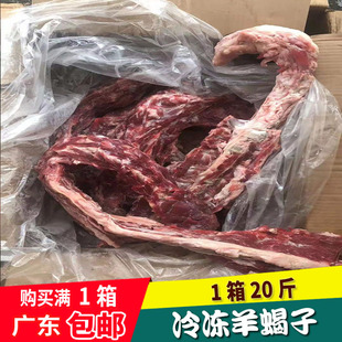 内蒙古羊肉羊蝎子冷冻新鲜多肉脊骨 羊排羊骨架火锅食材 20斤/件