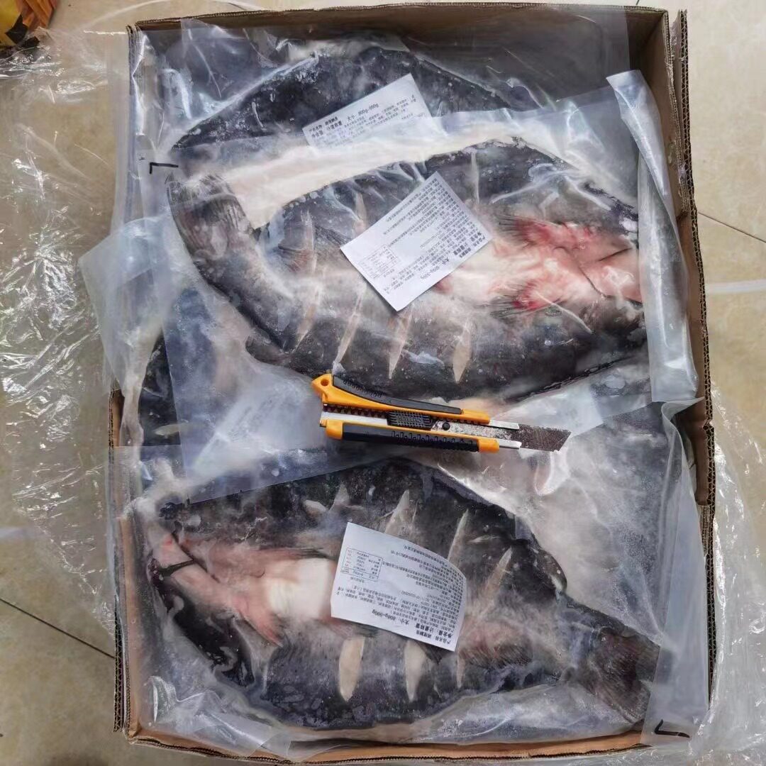 新鲜冷冻开背清江鱼整条腌制江团鱼烤鱼半成品黑尾鮰鱼900-1100g