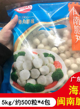海欣闽南脆丸2.5kg约500粒火锅丸子麻辣烫关东煮食材小鱼丸冷冻品