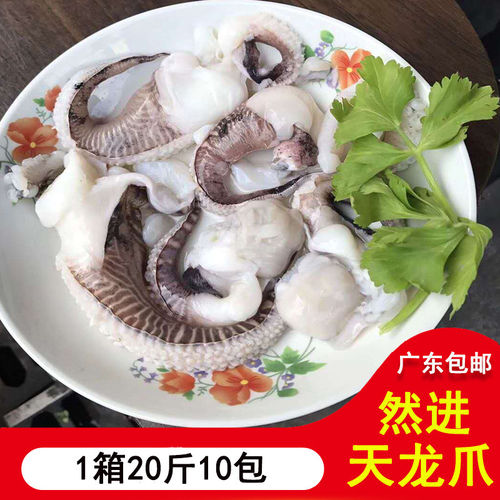 天龙爪 墨鱼爪 墨鱼须 墨鱼花 墨鱼须 目鱼须 海鲜水产1箱20斤