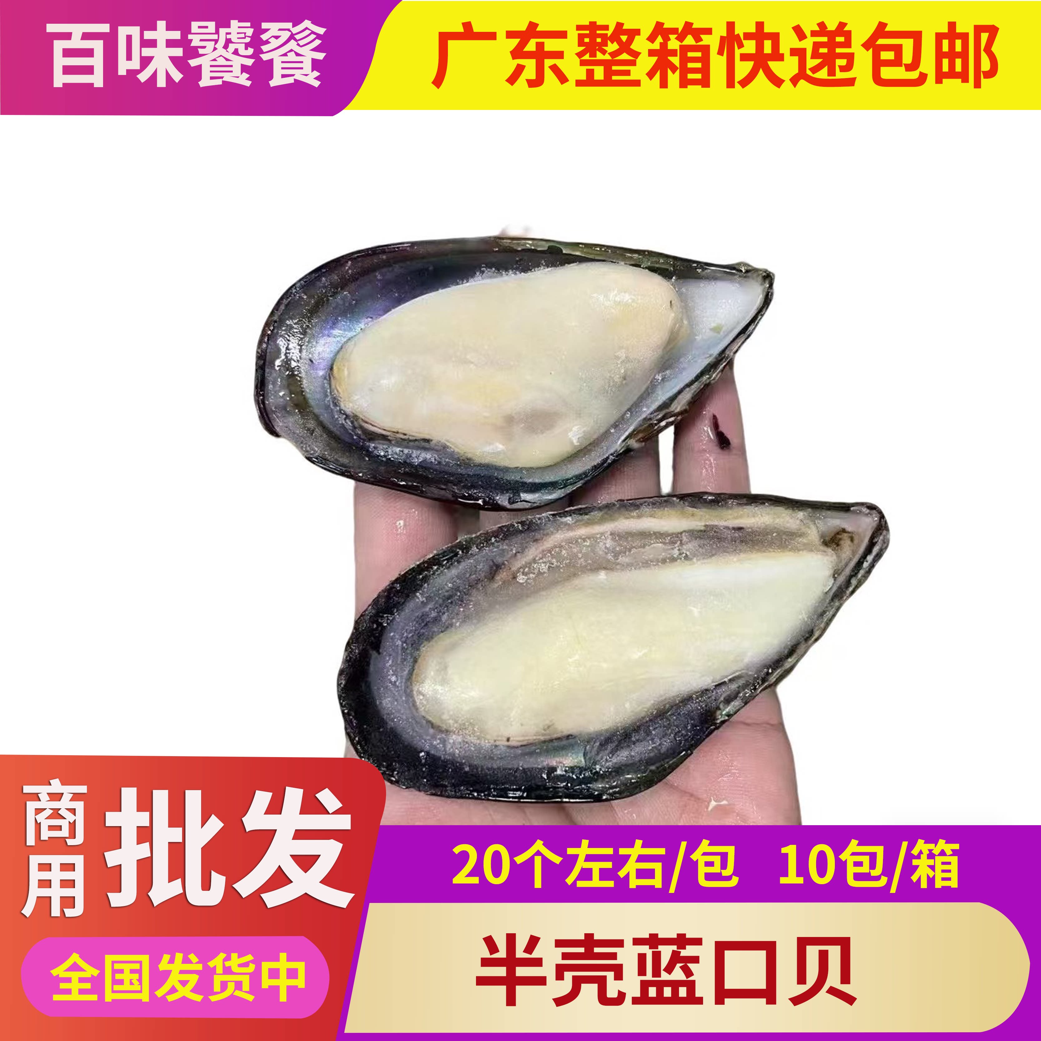 半壳冷冻淡菜海鲜1箱20斤蓝口贝图片