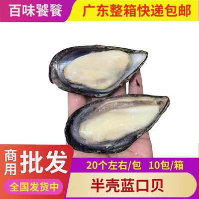 半壳冷冻淡菜海鲜1箱20斤蓝口贝