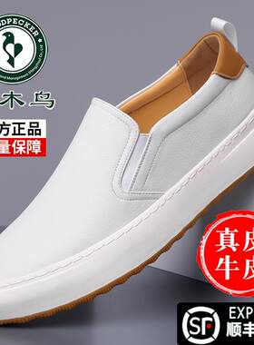 啄木鸟男士白色皮鞋休闲小白鞋