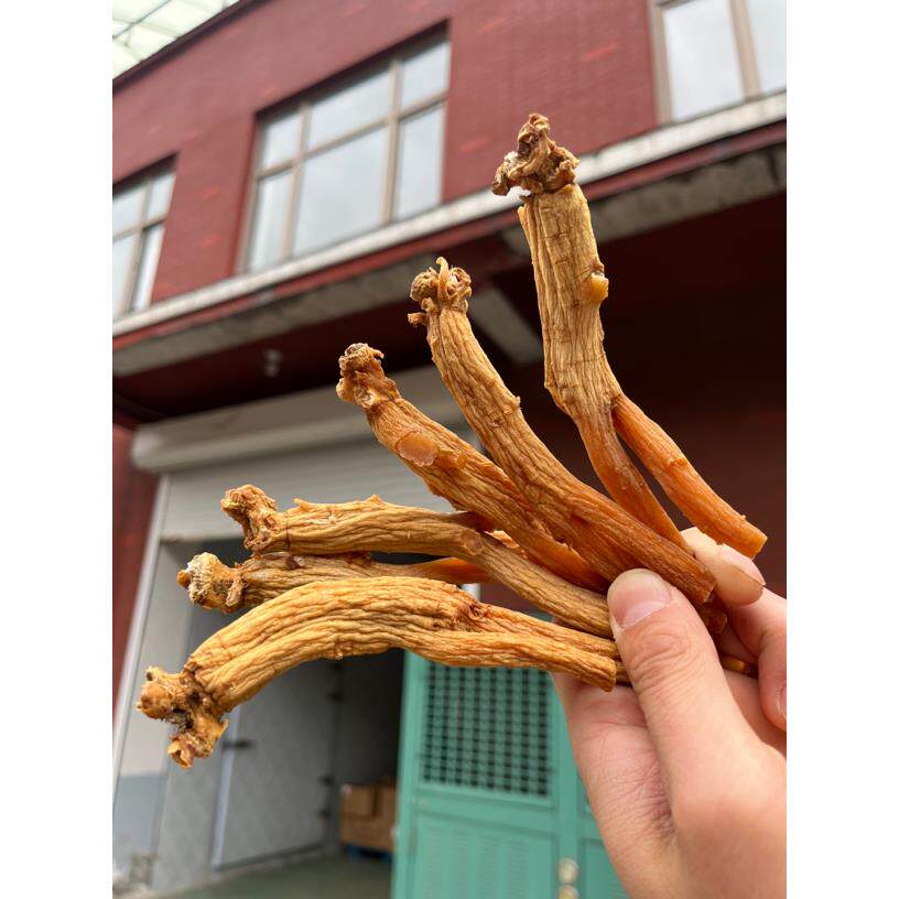 520炸 高丽参 太极参 红参 东洋参 大力参 西洋参 生晒参