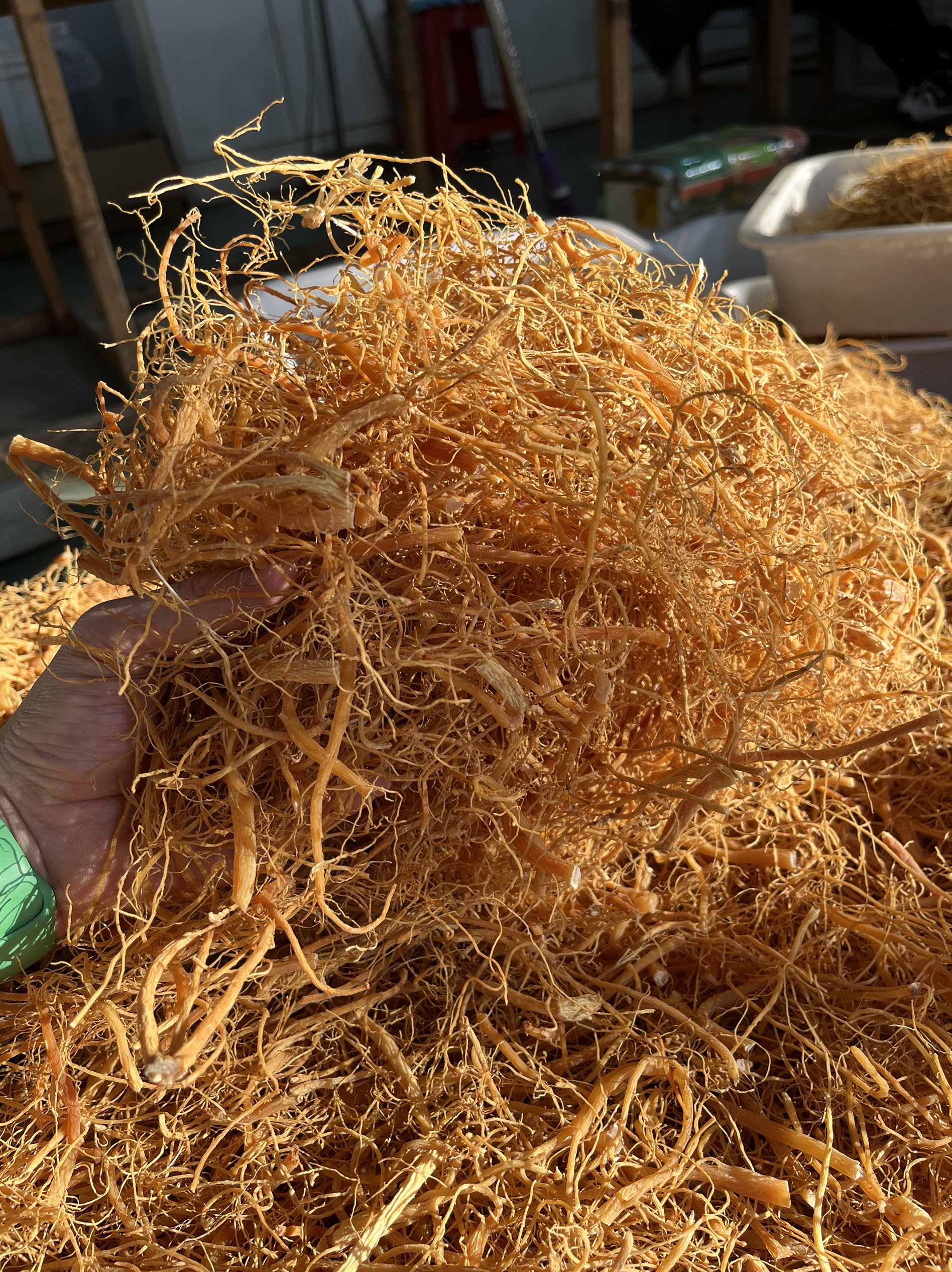 高丽参须 红参须 参须 混须 高丽红参须 太极参须