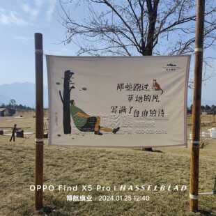 户外露营旗挂画装饰品三角串旗营地氛围旗帆布旗挂布定做