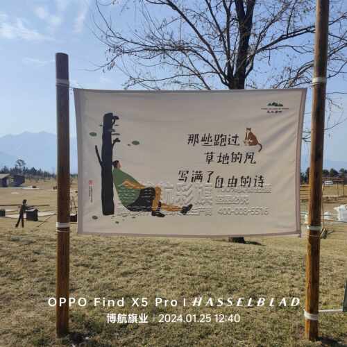 户外露营旗挂画装饰品三角串旗营地氛围旗帆布旗挂布定做