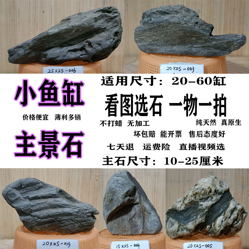 鱼缸主石一物一拍精选不规则异形图片