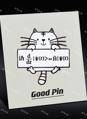 “薛定谔方程公式”可爱猫咪金属胸针量子力学徽章科学别针礼物