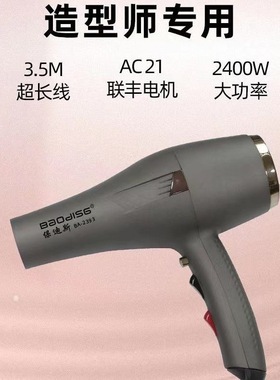 保迪斯吹风机2393大功率发廊专用吹风机2400W