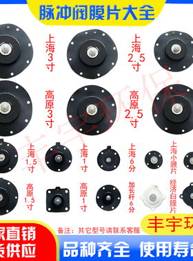 上海袋配式高电磁脉冲阀膜片垫片DMF-Z-25/40/50/62/76S维修包