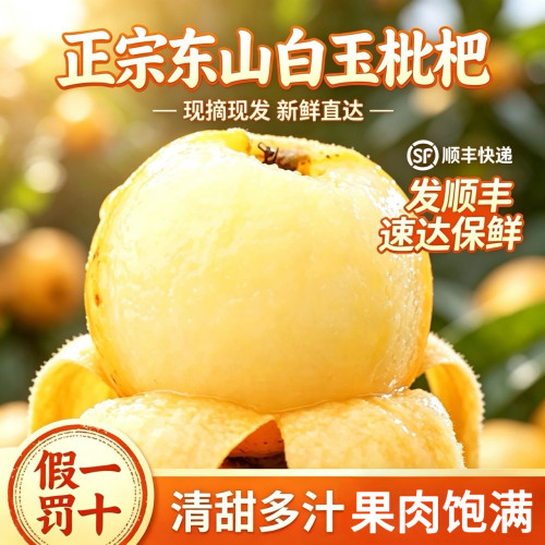 超甜山顶老树果苏州东山白玉枇杷