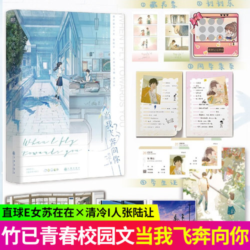 当我飞奔向你作者竹已