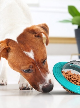 狗狗漏食玩具飞盘旋转飞碟漏食耐咬益智互动玩具丰容益智消耗精力