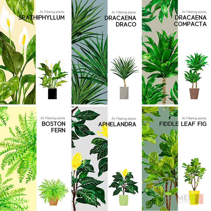 小清新绿色植物盆栽净化空气家居装饰海报psd设计素材模板930409