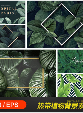 绿色夏天热带植物绿叶棕榈叶海报背景eps矢量设计素材模板2072001