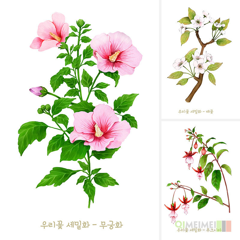 手绘绿色鲜花植物月季狗尾巴草插图海报psd分层设计素材952805