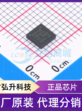 原装正品 MSP430FR2353TRSMT 封装VQFN-32-EP(4x4) 单片机(MCU/MP