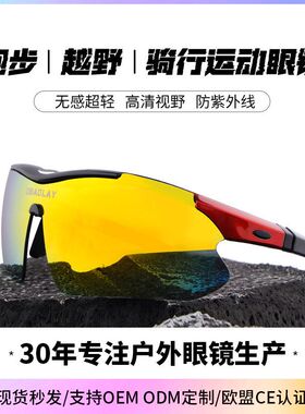 成年人专用品质骑行眼镜装备偏光