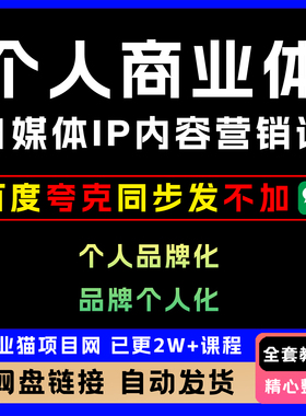 25年8月个人商业体内容营销课自媒体ip内容营销策略全套视频教学