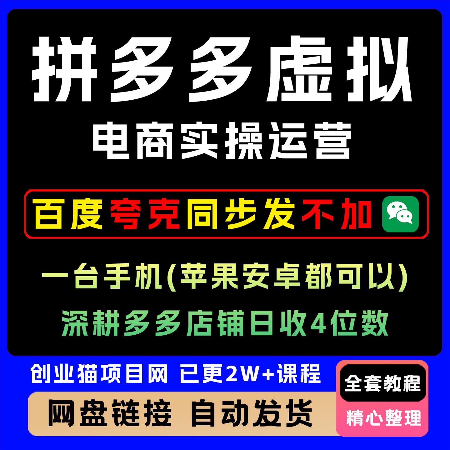 2025拼多多虚拟电商实操运营开店教程视频课程零基础运营挣钱副业