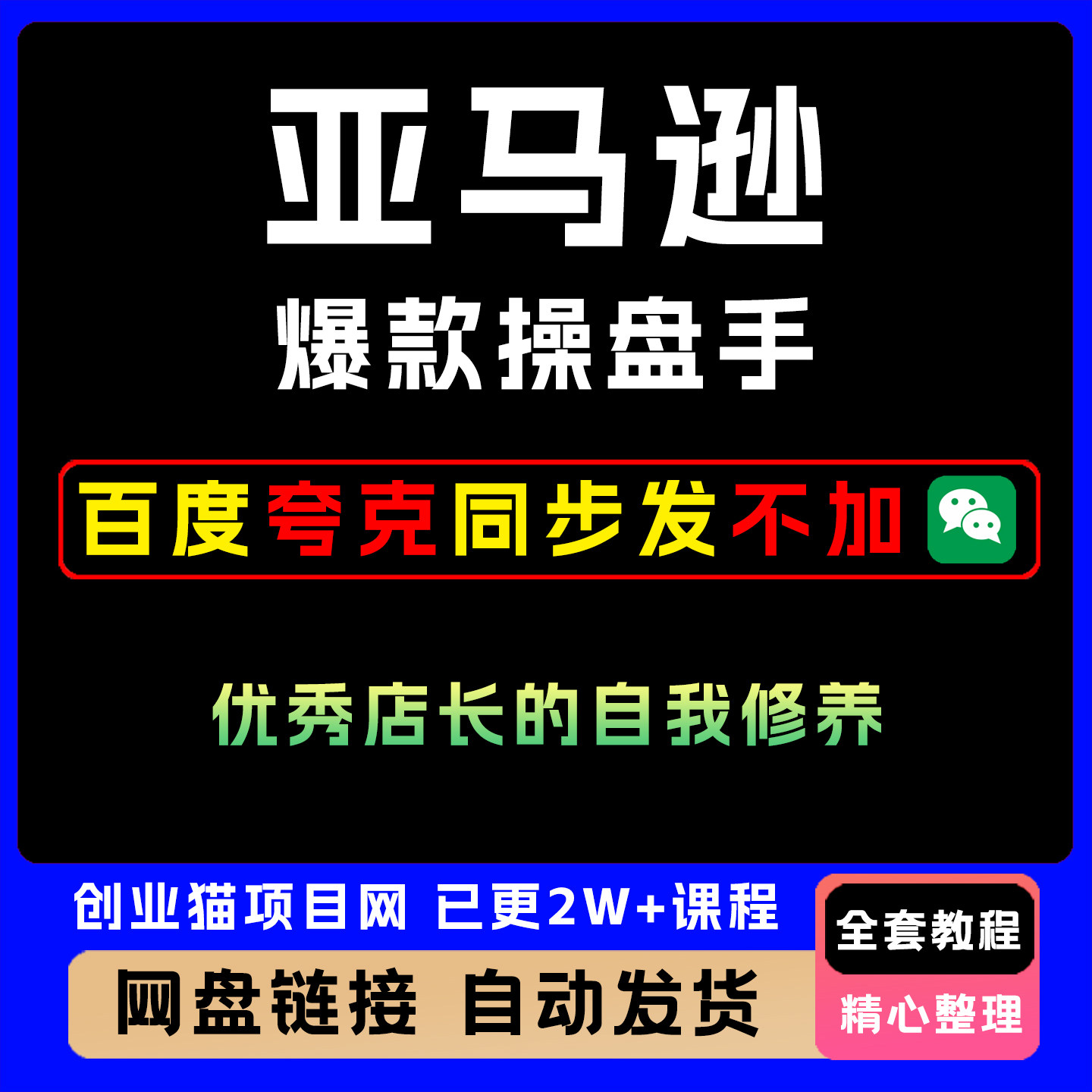 亚马逊爆款操盘手:优秀店长的自我修养全套教程个性化服务