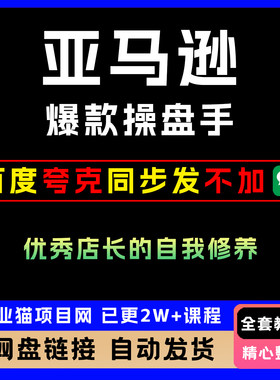 亚马逊爆款操盘手：优秀店长的自我修养全套教程个性化服务