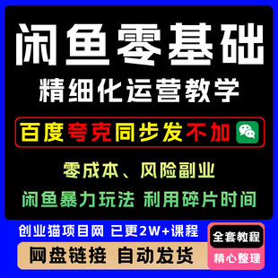 闲鱼零基础入门精细化运营实战教学 闲鱼暴力玩法全套视频教程