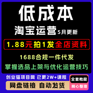 2025淘宝低成本起店系统课如何赚钱教程淘系运营视频课程副业项目