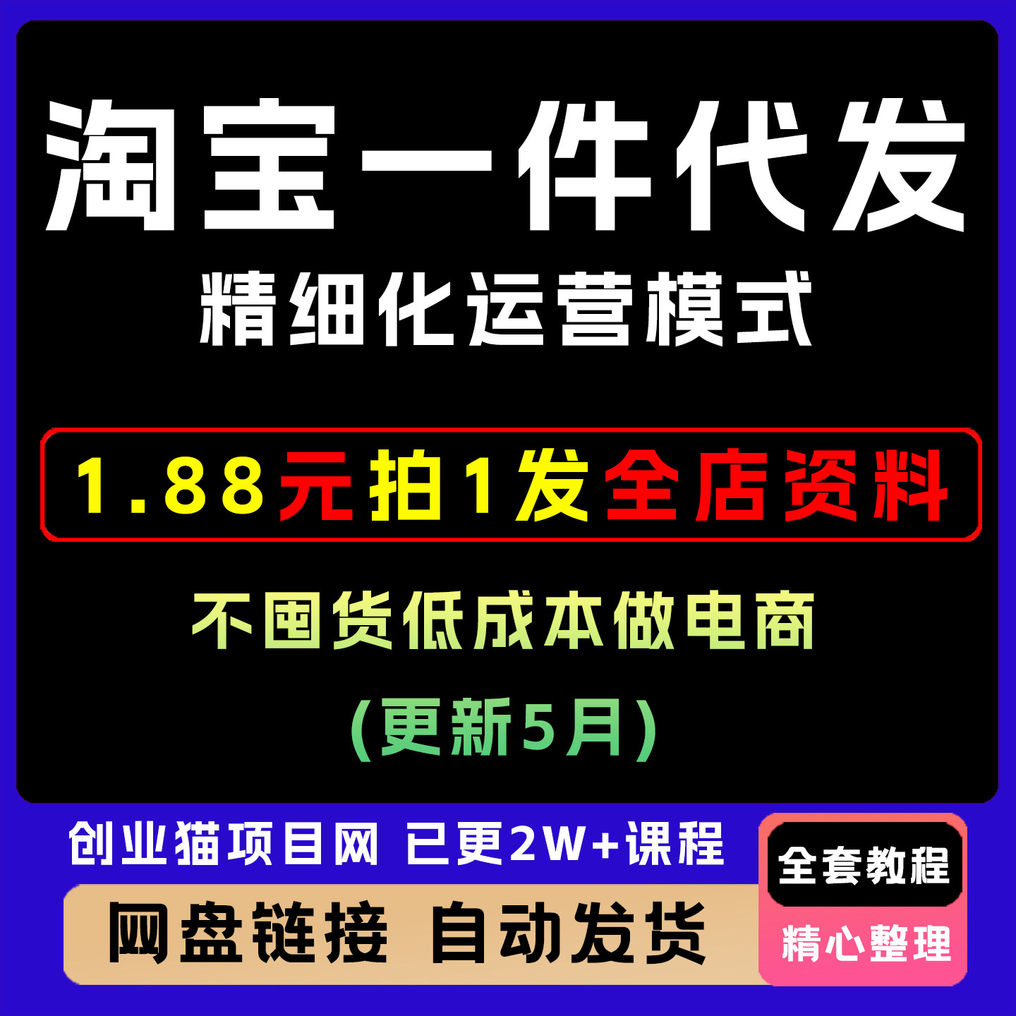 2025年淘宝一件代发精细化运营模式全套视频精讲课件教学课程项目