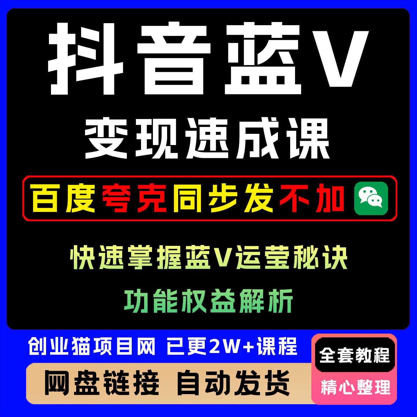 2025抖音蓝V变现速成课玩法快速掌握蓝V运莹秘诀实现月入过万
