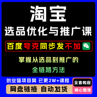 2025淘宝选品优化与推广课 选品到推广全链路实操方法