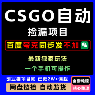2025年CSGO自动捡漏项目手机可操作不用玩游戏，小白轻松月入1W+